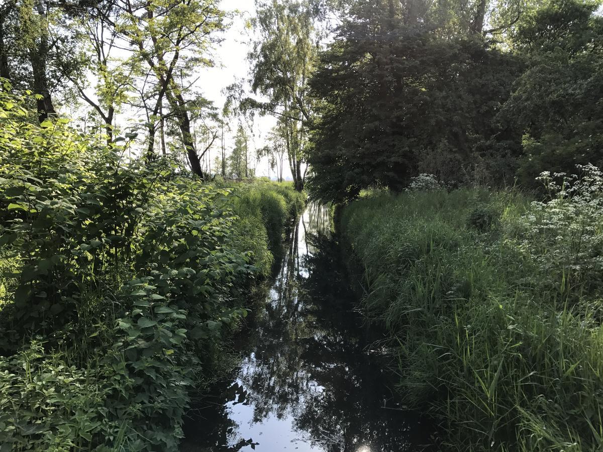 Brda Dziwnowek Villa Buitenkant foto